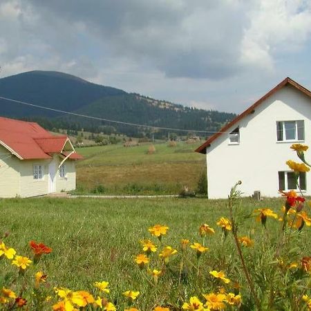 Casa Ana Vatra Dornei Villa Dealu Floreni Eksteriør bilde