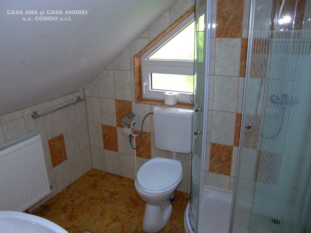 Casa Ana Vatra Dornei Villa Dealu Floreni Eksteriør bilde