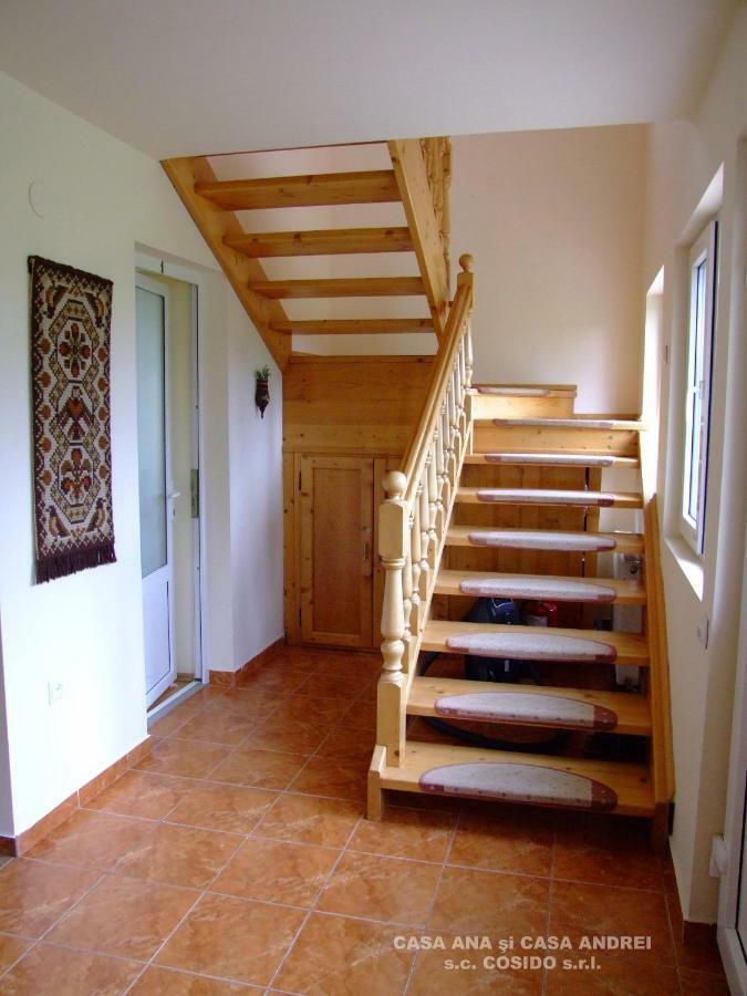 Casa Ana Vatra Dornei Villa Dealu Floreni Eksteriør bilde