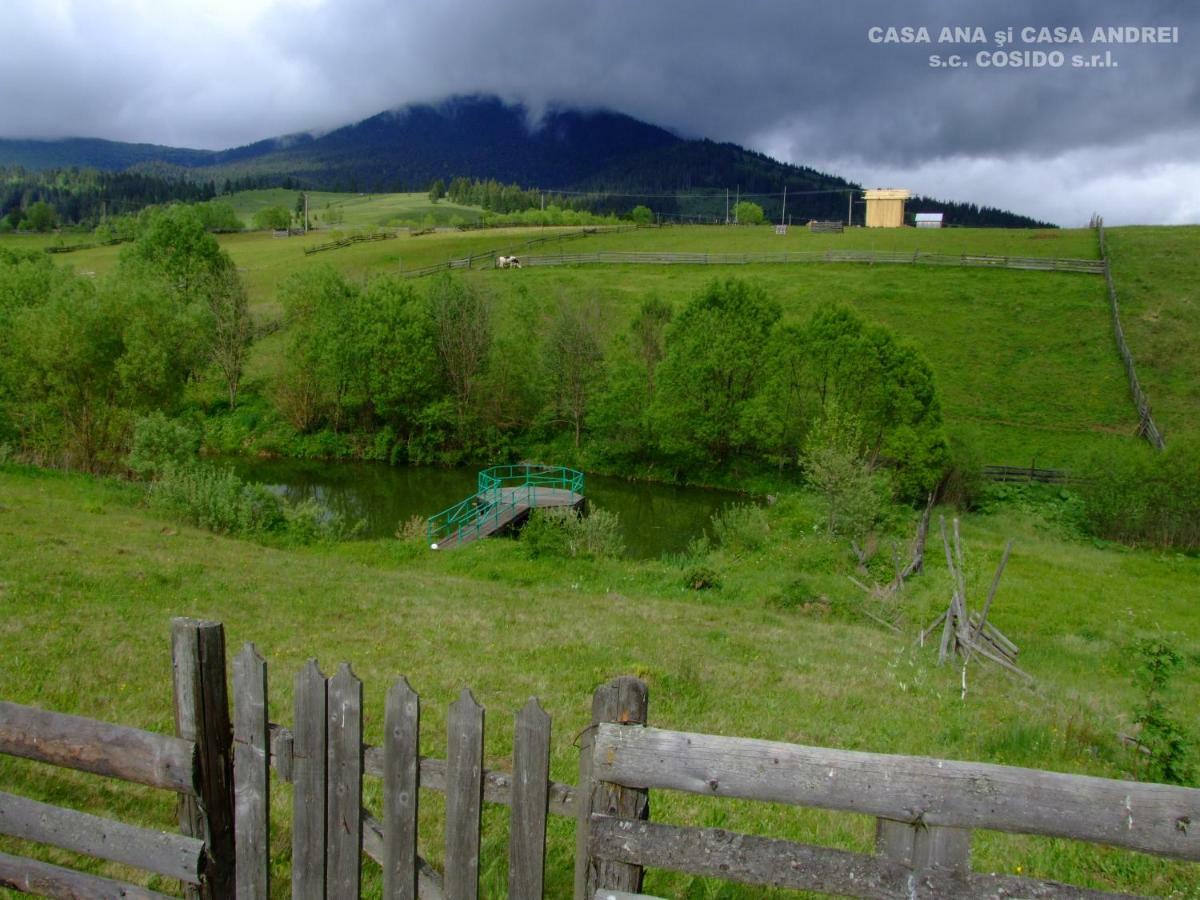 Casa Ana Vatra Dornei Villa Dealu Floreni Eksteriør bilde