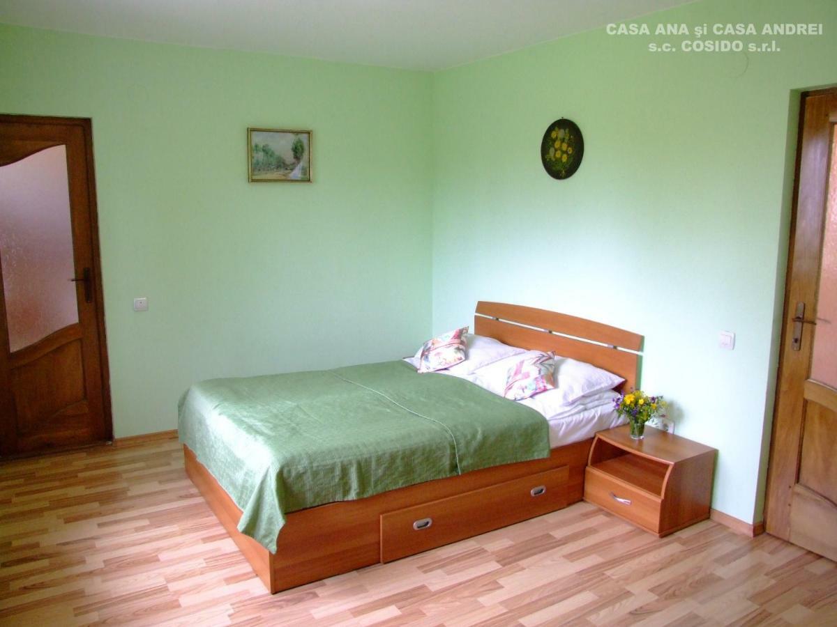 Casa Ana Vatra Dornei Villa Dealu Floreni Eksteriør bilde