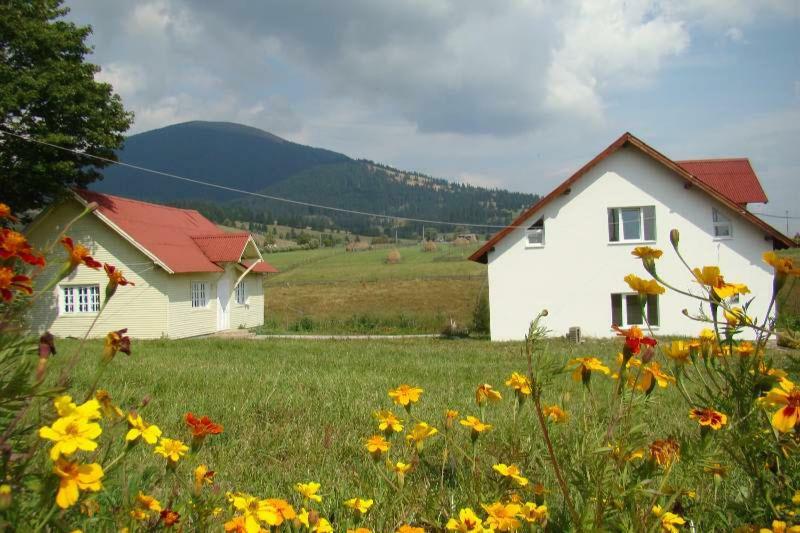 Casa Ana Vatra Dornei Villa Dealu Floreni Eksteriør bilde